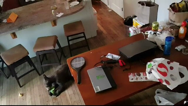 Ce a făcut un tânăr când s-a trezit cu o familie de urşi cotrobăindu-i în frigider