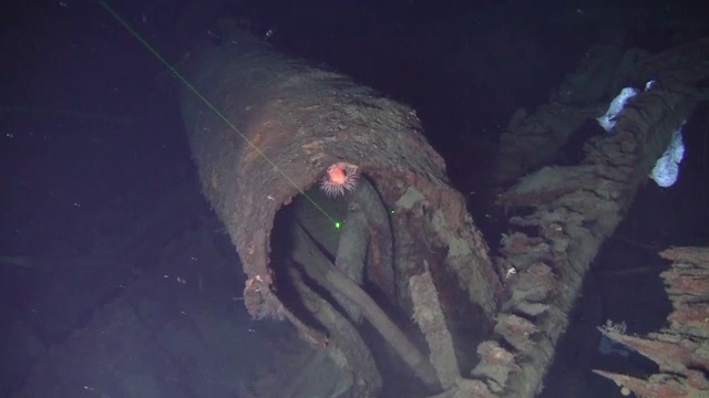 Legenda epavei scufundate a unui vas rusesc. De ce susțin experții că n-ar avea aur la bord