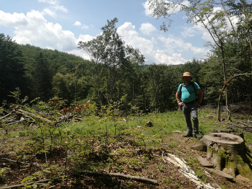 Senatorul USR Mihai Goțiu a depus plângere penală împotriva Romsilva: ”O situație dezastruoasă”