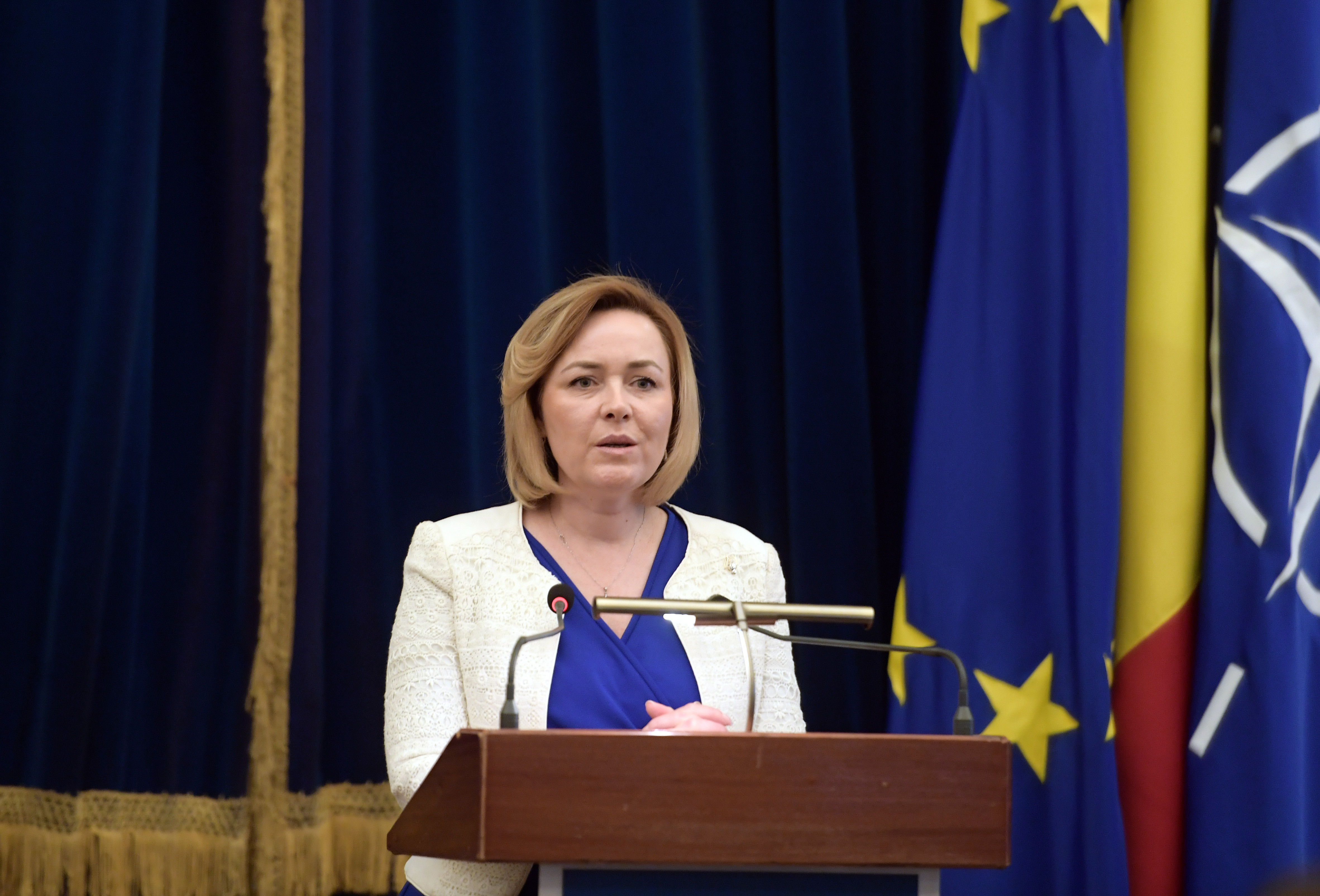 PSD-ALDE a anulat audierile ministrului Carmen Dan și ale prefectului Cliseru în Senat