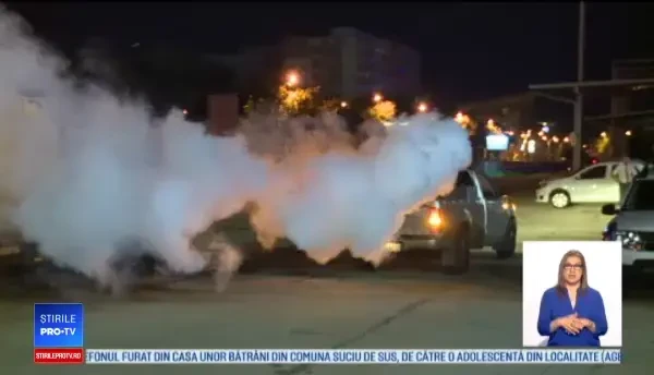 Scandalul ţânţarilor în Capitală. Cele două tipuri de insecte sunt purtătoare de virus WestNile