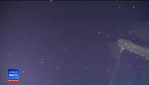 Legenda epavei scufundate a unui vas rusesc. De ce susțin experții că n-ar avea aur la bord