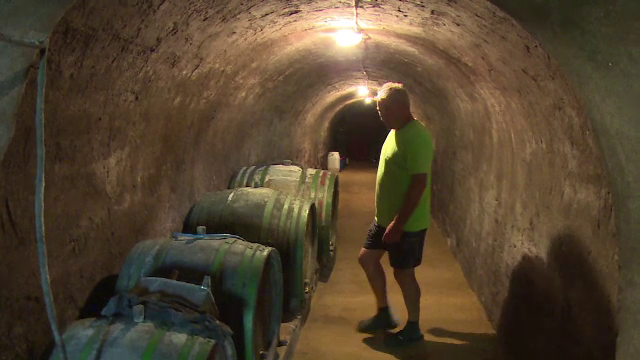 Satul celor 1.000 de pivnițe. Detaliul care le face unice în România
