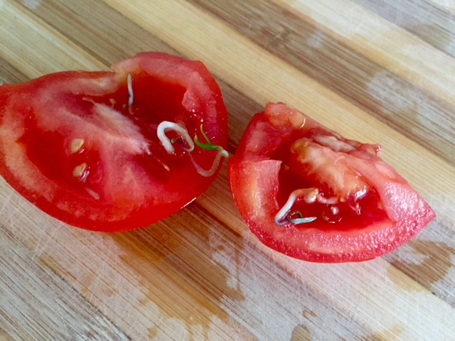 Ce a găsit o femeie în roșiile bio cumpărate dintr-un supermarket