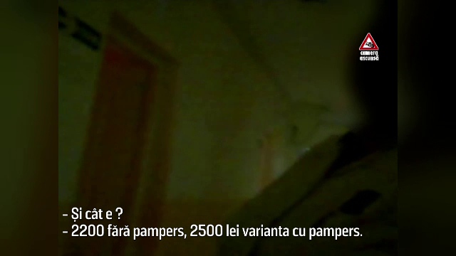 inspectorul pro aziluri private
