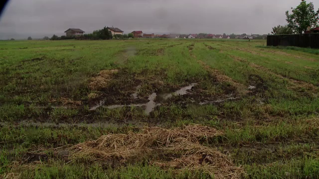 Vremea capricioasă ar putea veni la pachet cu un val de scumpiri ale alimentelor. Tone de culturi au ajuns la gunoi