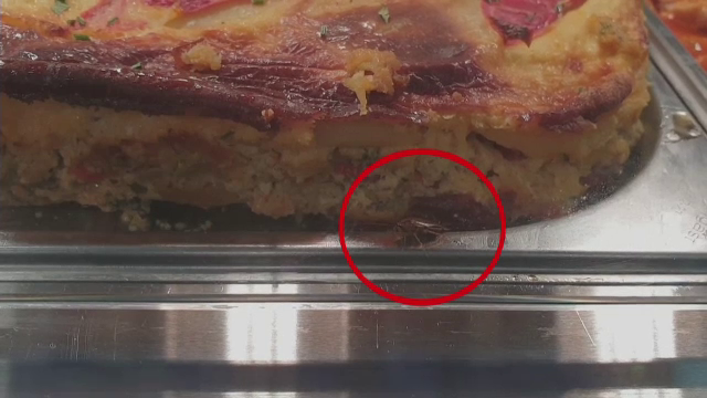 Trei restaurante, închise în Galați. Amenzile primite după ce un gândac a fost filmat într-un fast-food