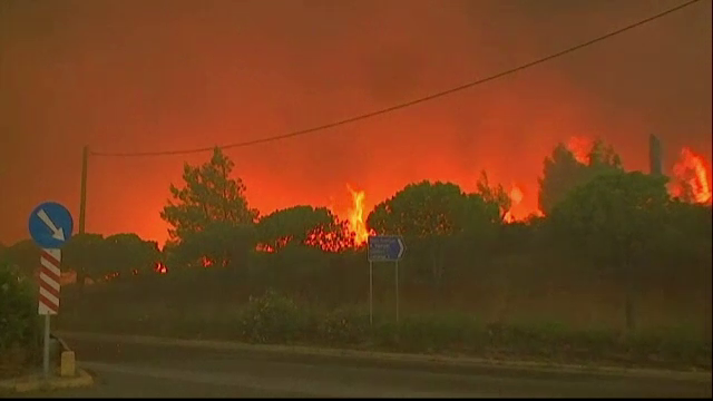 Incendiile din Grecia. Mărturiile românilor: ”Au fost găsite mame cu copii în brațe, decedați”