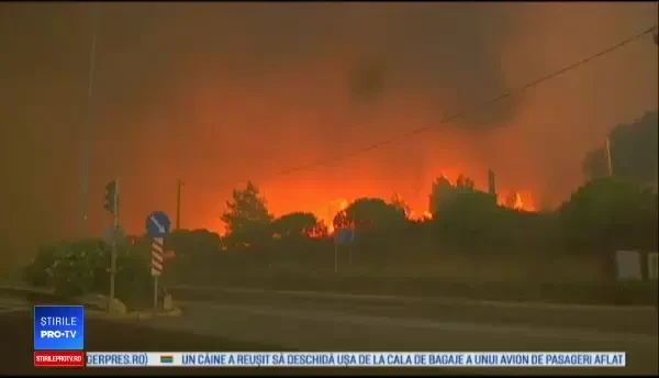 Incendii în Grecia: 50 de morți și 150 de răniți. Anunț făcut despre turiștii români