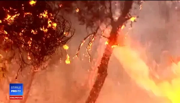 Trei zile de doliu național, după incendiile din Grecia. Sunt cel puțin 74 de morți, între care un bebeluș