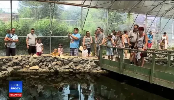 Bazinul de la Delfinariu, plin cu monede. Turiștii își pun dorințe, iar peștii sunt puși în pericol