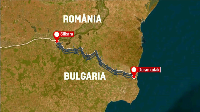 Măsuri împotriva pestei porcine africane. Mii de animale incinerate și gard la graniță