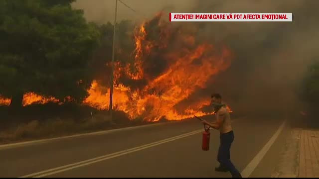 Incendii în Grecia. Supraviețuitor: ”Cine dormea a murit în casă”