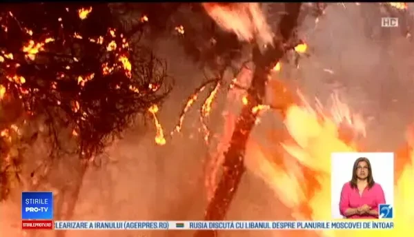Incendii în Grecia: 74 de morţi şi 187 de răniţi. Un sat de vacanță a fost şters de pe hartă