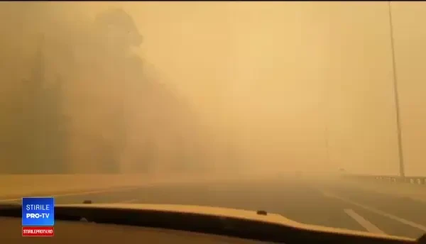 Incendii în Grecia: 80 de morţi şi 187 de răniţi. Un sat de vacanță a fost șters de pe hartă