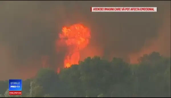 Românii din Grecia au lăsat actele și banii pentru a se salva din calea incendiilor