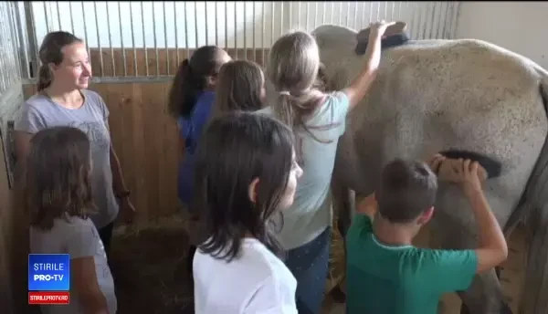 Tabere unde copiii învaţă să facă emisiuni sau să tragă cu arcul. Cât achită la final părinţii