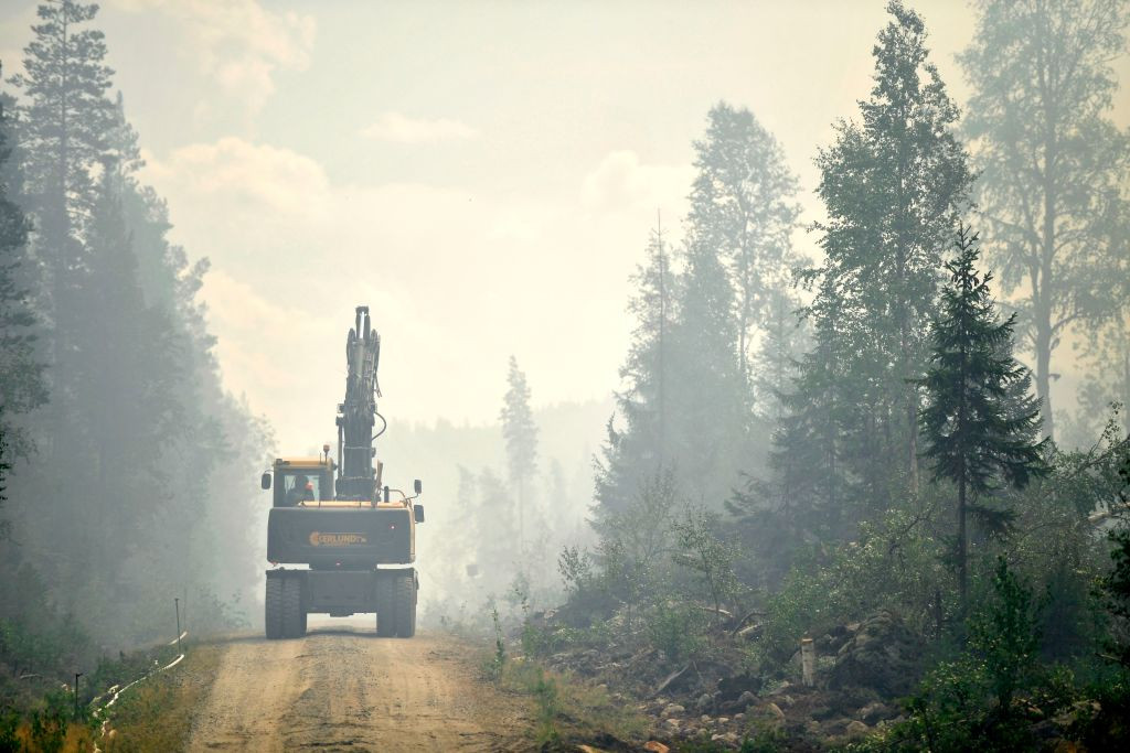 MAE avertizează cetăţenii români cu privire la incendiile de pădure din Suedia