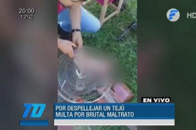 Motivul pentru care un bărbat din Paraguay a primit o amendă de 70.000 de dolari