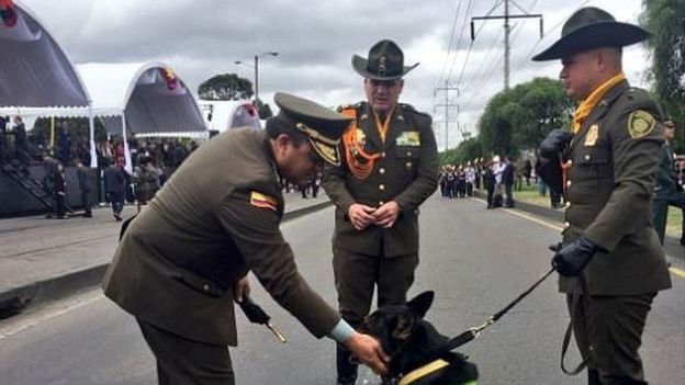 sombra politisti