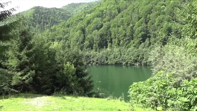 Descoperire înspăimântătoare făcută de un pescar, pe malul unui lac din Argeş