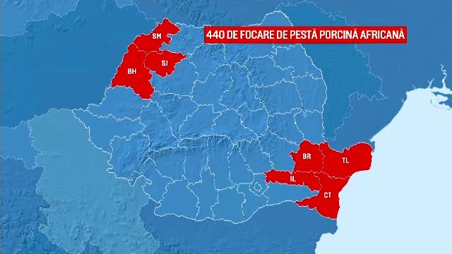 judete afectate de epidemia de pesta porcina