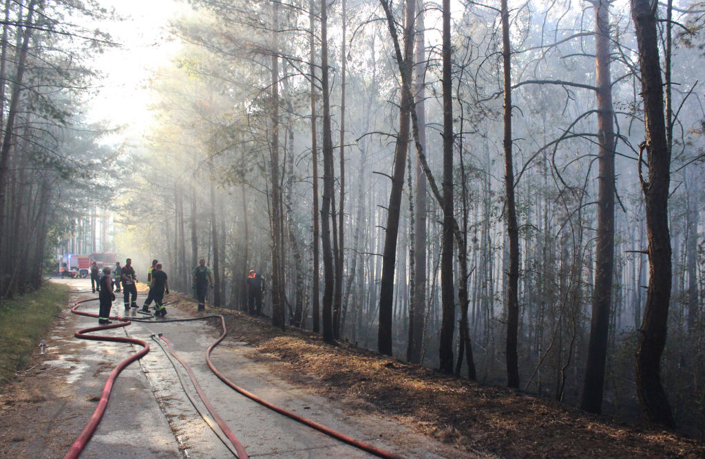 Incendiul de vegetație de la Azuga a fost stins, după ce pompierii au localizat 36 de focare. VIDEO