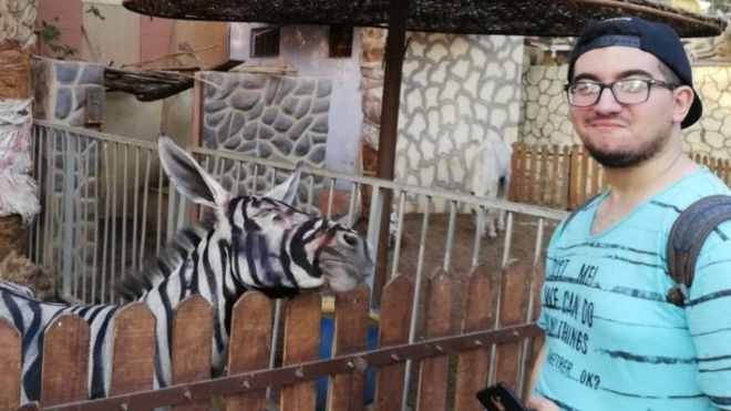 O grădină zoologică a pictat un măgar, ca să pară că e zebră