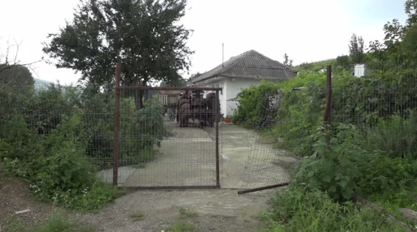 S-a apucat să taie porcul, dar după câteva pahare de alcool era să-și omoare fratele