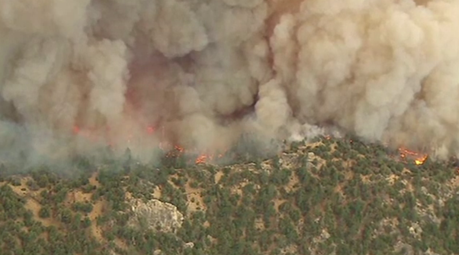 Incendii devastatoare de vegetație în SUA, provocate de o mână criminală. Un suspect, reținut