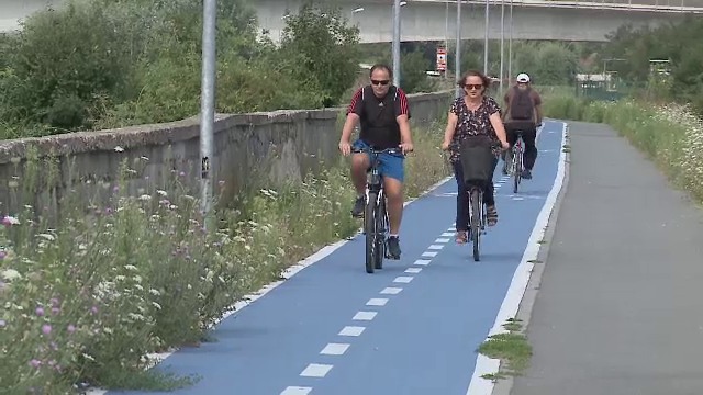 Pistă de biciclete, invadată de ambrozie. Oamenii pot ajunge în orice moment la Urgențe
