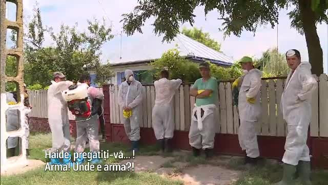 Alertă în 8 județe: medicii merg din poartă în poartă și sacrifică toate animalele