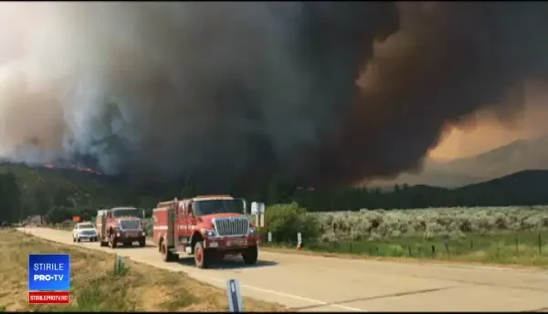 Incendii devastatoare de vegetație în SUA, provocate de o mână criminală. Un suspect, reținut