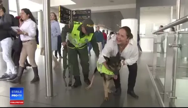 Banda care a pus o recompensă de 70k de dolari pe capul unui câine. Câte tone de cocaină a descoperit