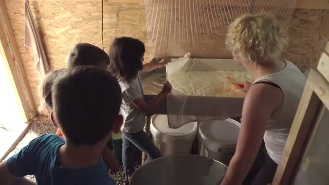 Copii duși de părinți la stână, să se bucure de natură: „Miroase ca la țară”