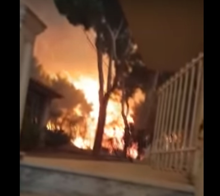 Un bărbat și-a riscat viața pentru a-și salva pisica din incendiile din Grecia. VIDEO
