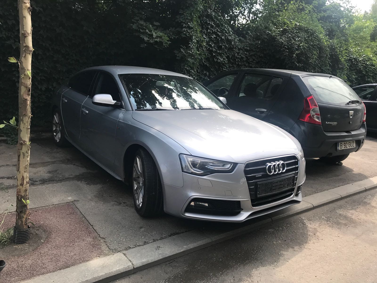 De ce i-au făcut dosar penal și l-au lăsat fără plăcuțe și fără permis pe șoferul cu număr anti-PSD. Explicația Poliției