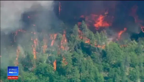 Incendiul din California: Am vorbit cu cel mic la telefon şi apoi a murit