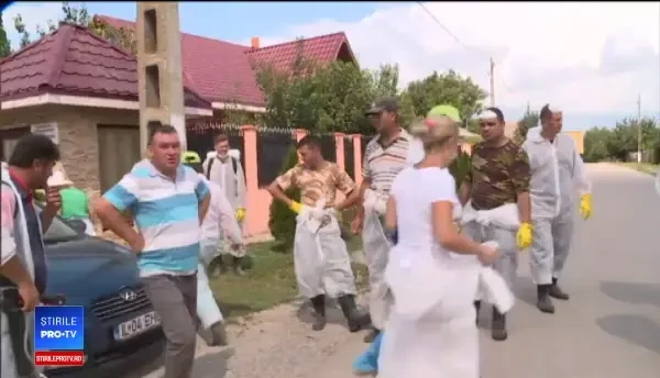 Alertă națională din cauza pestei porcine. Numărul animalelor afectate crește de la o zi la alta