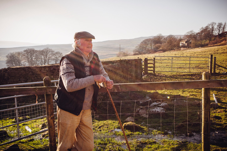 Fermele britanice riscă falimentul, pentru că românii nu vor mai veni după Brexit