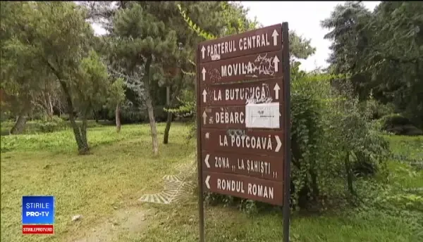 Reacția unui turist german când vede starea deplorabilă în care se afla Parcul Cișmigiu. O să fie distrus