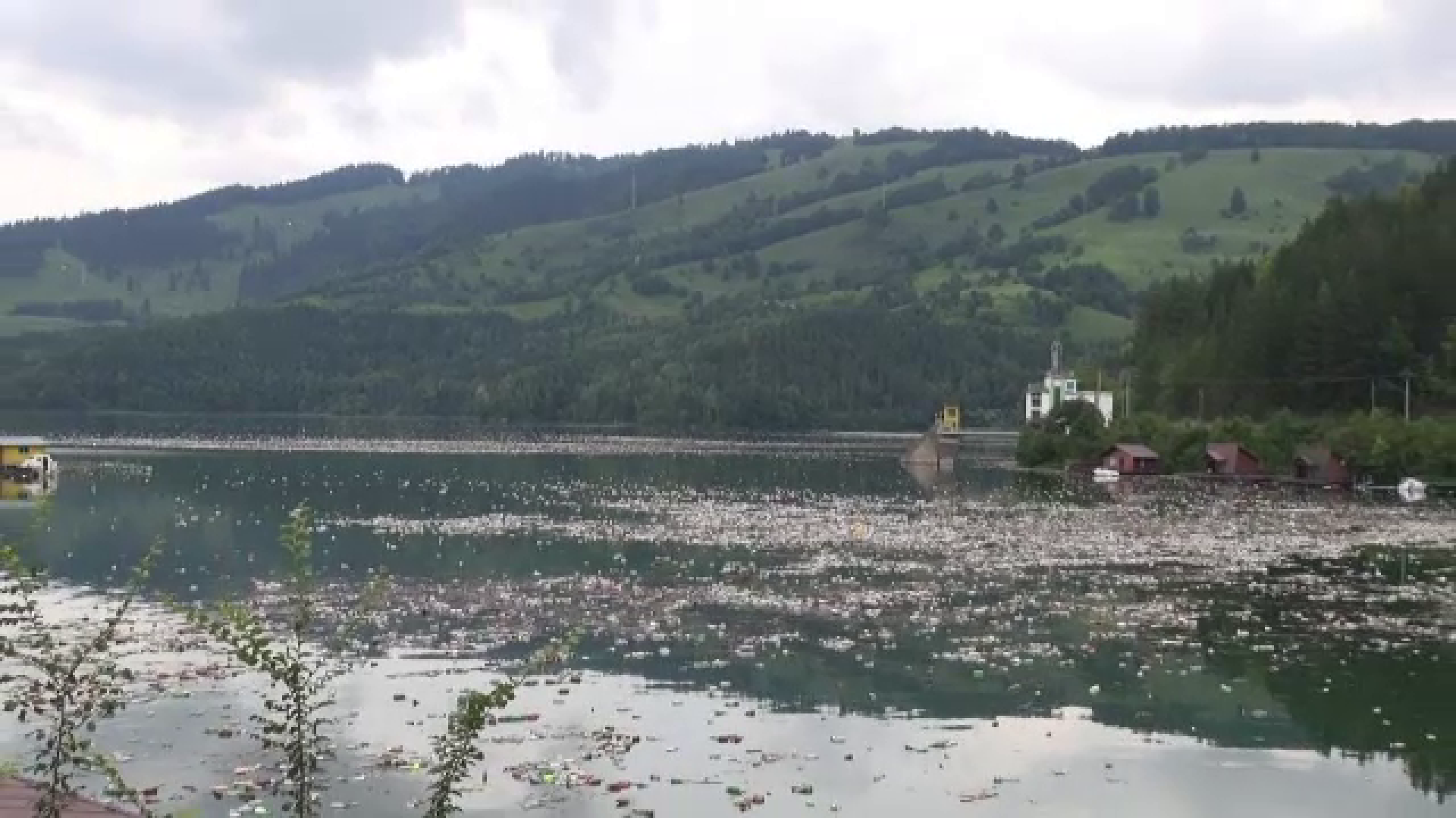 Omenirea și-a consumat resursele pentru acest an, dar face puţin pentru planetă. România, situaţie ”unică” în Europa