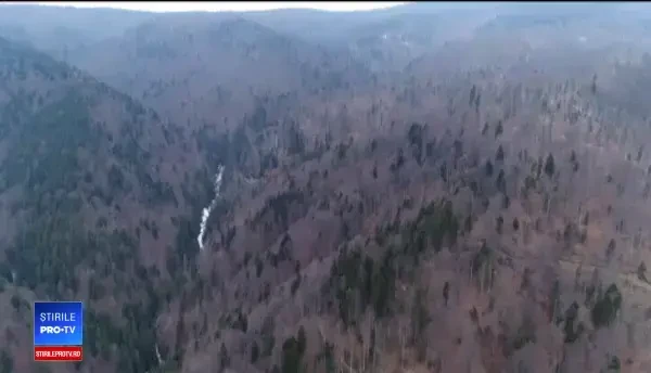 Omenirea și-a consumat resursele pentru acest an, dar face puţin pentru planetă. România, situaţie unică în Europa