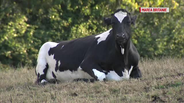 Seceta din Europa are efecte catastrofale asupra agriculturii: ”Prețurile vor fi mari”