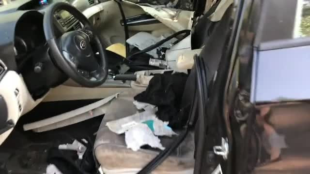 Un şofer a găsit un urs închis în maşina sa. Cum a reuşit să scoată animalul de acolo