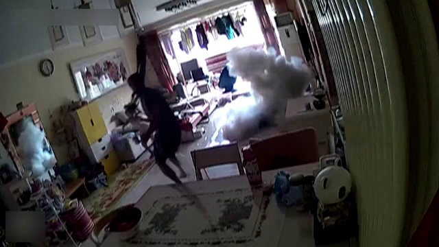 Un scuter a explodat în sufrageria unei familii. Reacția proprietarului