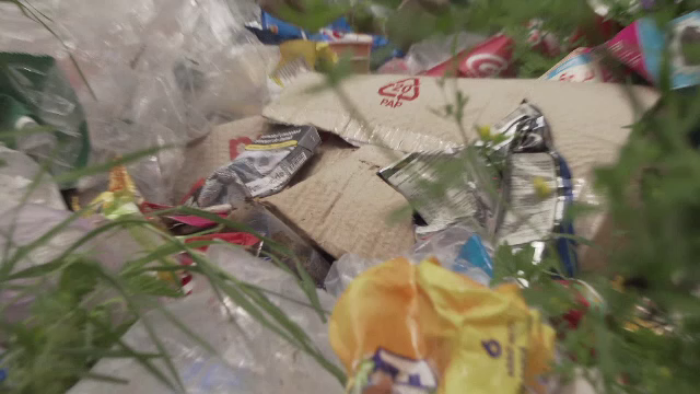 Amenzi uriaşe pentru turişti. Ce riscă dacă fac mizerie sau se ceartă cu chelnerul