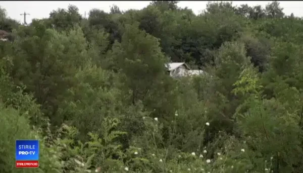 Localitatea din România care de 2 ani nu are contract de salubritate. Ce se întâmplă cu gunoiul