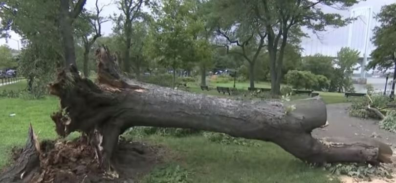 Fenomen rar la New York. O tornadă a devastat zone din cartierul Queens