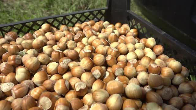 Afacerea profitabilă care prinde contur în România. Venitul ajunge la 10.000 de €